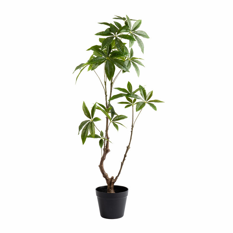 90cm Real Touch Mexican Fortune Tree